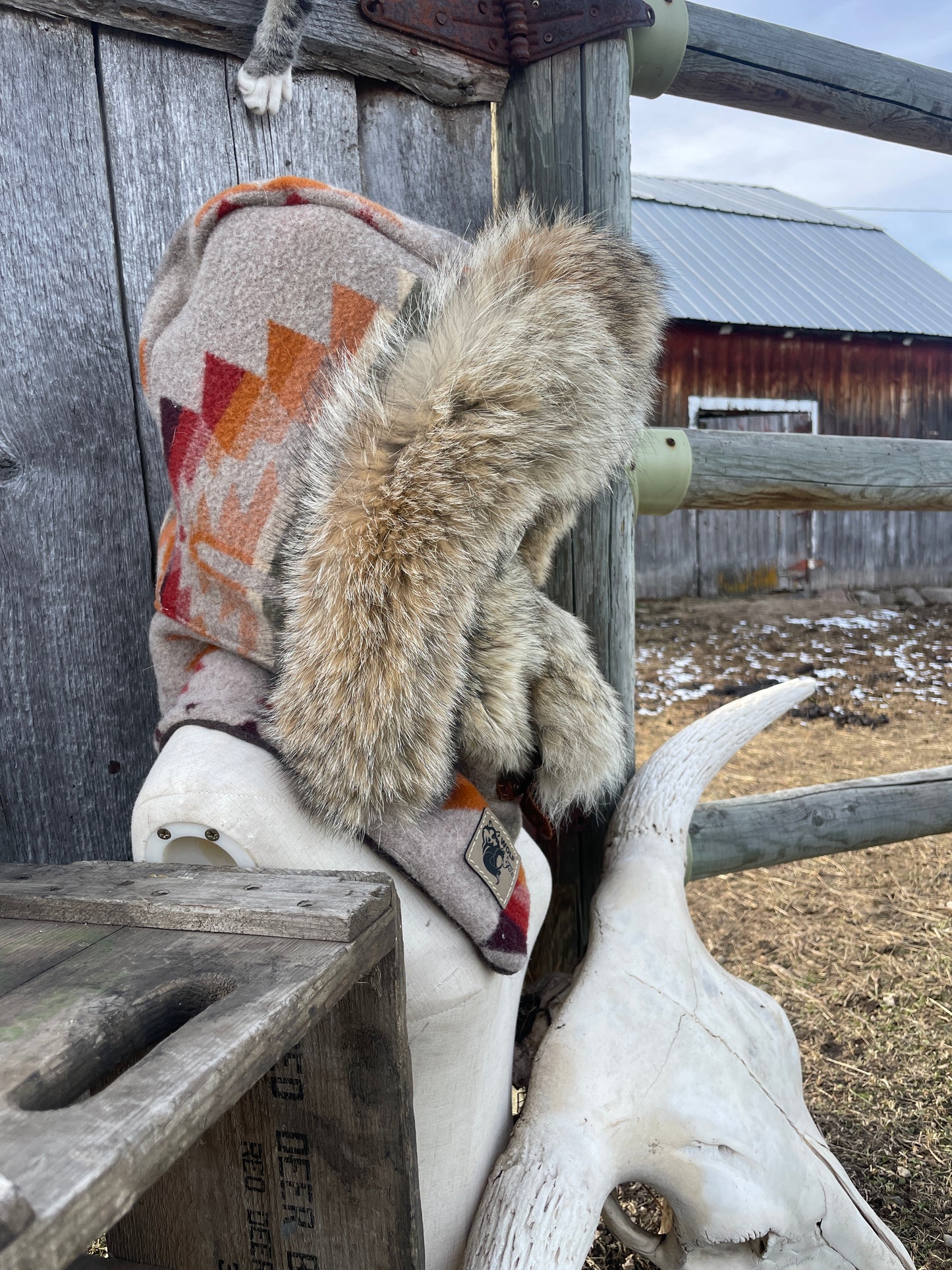 Renada Hooded Cowboy Cowl