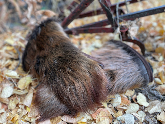 Ranch Hand Beaver Mitts