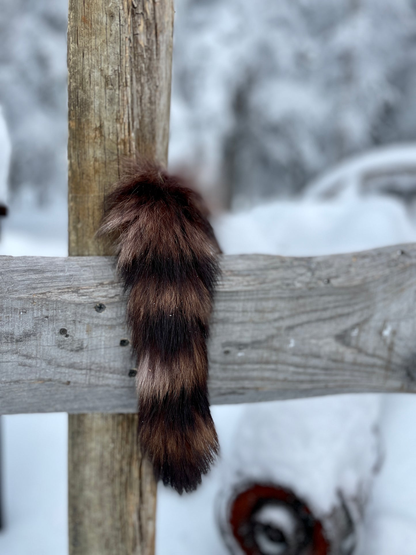 Purple Dyed Raccoon Tail Keychain/Bag Charm