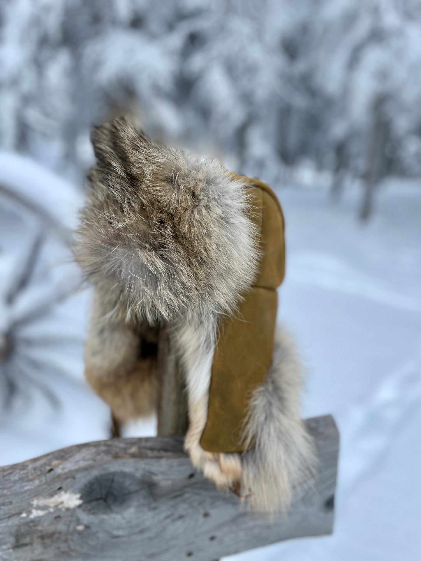 Coyote Trapper's Hat in Olive Green