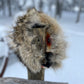 Coyote Headband