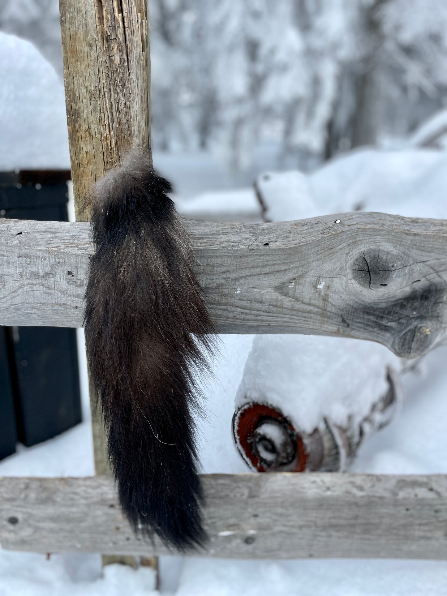 Black Wolf Tail Keychain/Bag Charm