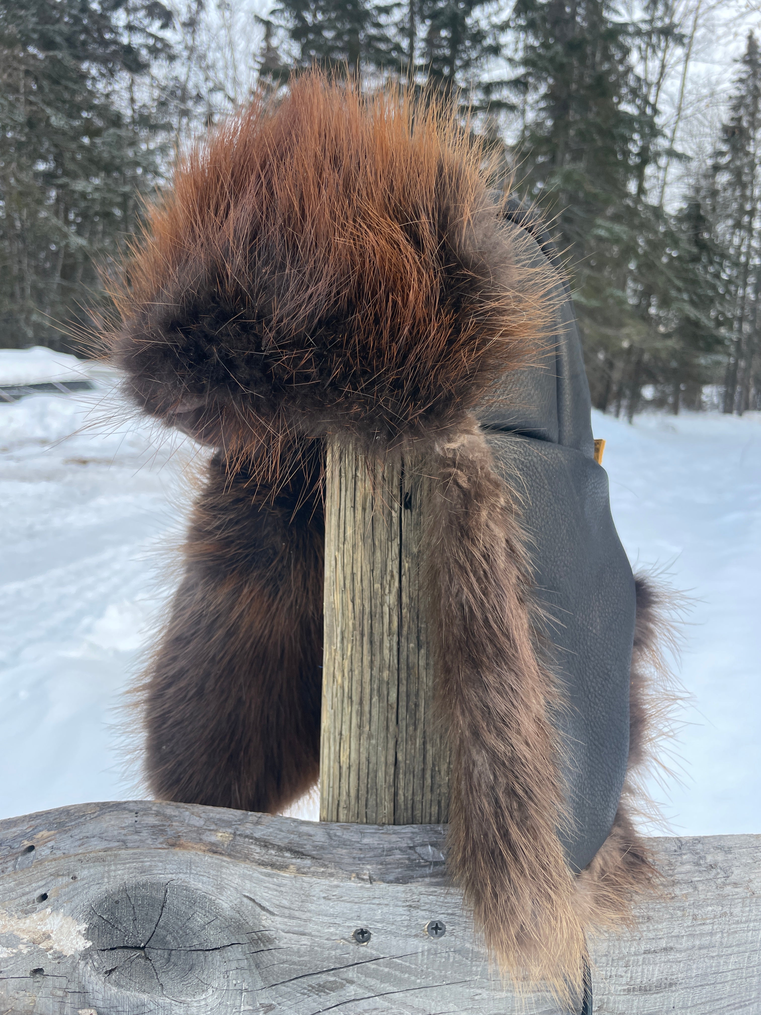 Black wolf store fur hat