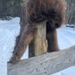 Beaver Trapper's Hat in Chocolate